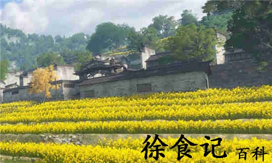 逆水寒手游内功自选礼盒一览